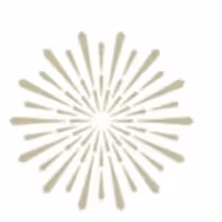 Merola Opera Company Kicks Off 2022 Summer Festival