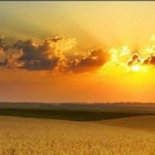 New Theatre Will Reopen in November With THE LOVELY BONES