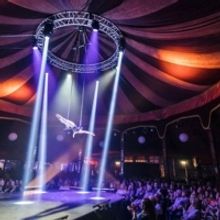 Spiegeltent Returns To Wollongong With Epic Three Week Program