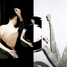 ERNANI Closes This Weekend at Opera Ballet Vlaanderen