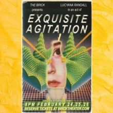 The Brick Presents EXQUISITE AGITATION by Lucyana Randall
