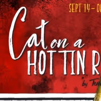 Virginia Stage Company Presents CAT ON A HOT TIN ROOF Beginning This Month
