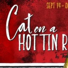 Virginia Stage Company Presents CAT ON A HOT TIN ROOF Beginning This Month