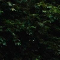 Raue Center for the Arts Announces ARTS ON THE GREEN