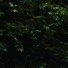 Raue Center for the Arts Announces ARTS ON THE GREEN