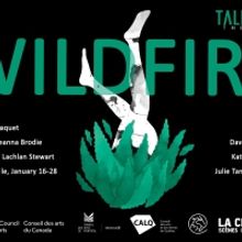 Talisman Theatre Presents The English Montreal Premiere Of David Paquet's WILDFIRE Ne