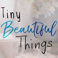 TINY BEAUTIFUL THINGS Comes to Theatre Tallahassee in September