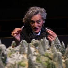 Photos: The Orange Tree Theatre Presents the UK Première of Pamela Carter's THE MIS