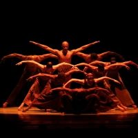 Photos: See LaChanze, Ryan Jamaal Swain & More at Alvin Ailey American Dance…