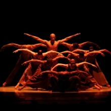 Photos: See LaChanze, Ryan Jamaal Swain & More at Alvin Ailey American Dance…
