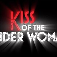 Kennedy Center Cancels Production of KISS OF THE SPIDER WOMAN