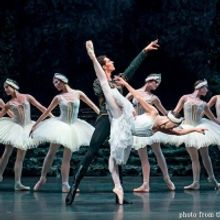 Casting Announced For SWAN LAKE at the New National Theatre, Tokyo
