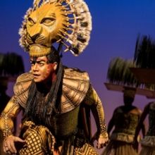 THE LION KING Comes to Toledo Next Month