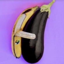 ANIMAL Tours to Park Theatre This Spring