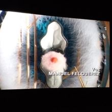 El Surrealismo De Alan Glass Llega A La Cineteca Nacional