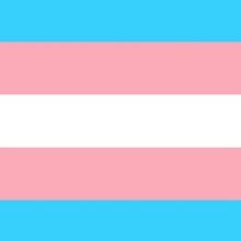 BroadwayWorld Stands With the Trans Youth of Texas