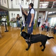 El Museo Casa Estudio Diego Rivera Y Frida Kahlo Ofrecen Visitas Para Público Con 