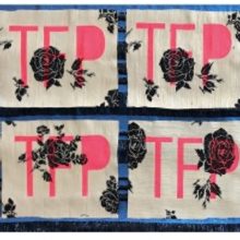 The Future Is Present: A Casting the Vote Project Announced