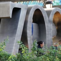 Philadelphia Zoo To Remain Open To Public, Announces Safety Measures