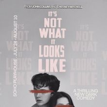 Spotlight: IT'S NOT WHAT IT LOOKS LIKE at SoHo Playhouse