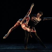 BWW Review: CRYPTO at Bluma Appel Theatre Is Beautiful But Bleak