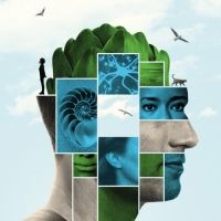 Traverse Theatre Announces Full Cast And Creative Team For DONNY'S BRAIN