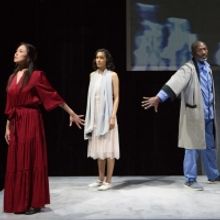 BWW Review: LESSON IN FORGETTING from Pleiades Theatre Makes Much of Memory