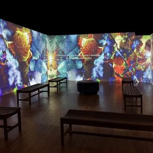 PERENNIAL LAND - The Data Forest Immersive Installation Opens At Morris Museum