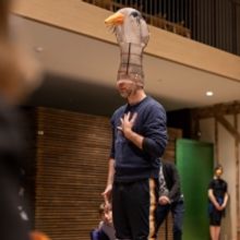 Isaac Mizrahi, Nico Muhly & John Heginbotham to Premiere THIRD BIRD at Works & Proces