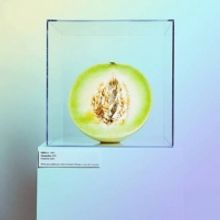 EBEN Arrives With HONEYDEW EP