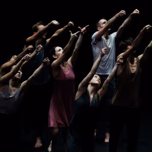 ZviDance to Present The World Premiere Of DANDELION