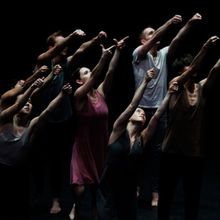 ZviDance to Present The World Premiere Of DANDELION