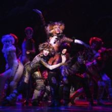 BWW Review: Why I'm Not Crazy About CATS at Dr. Phillips Center