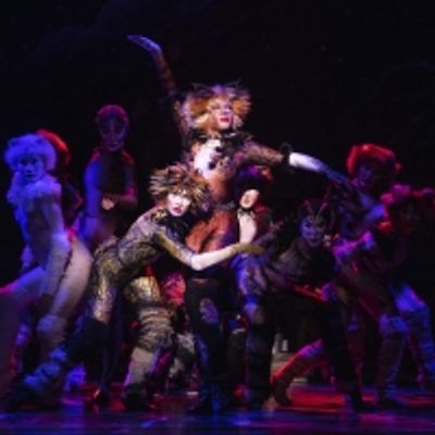 BWW Review: Why I'm Not Crazy About CATS at Dr. Phillips Center