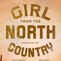 Complete Casting Announced For GIRL FROM THE NORTH COUNTRY on Broadway - Austin…