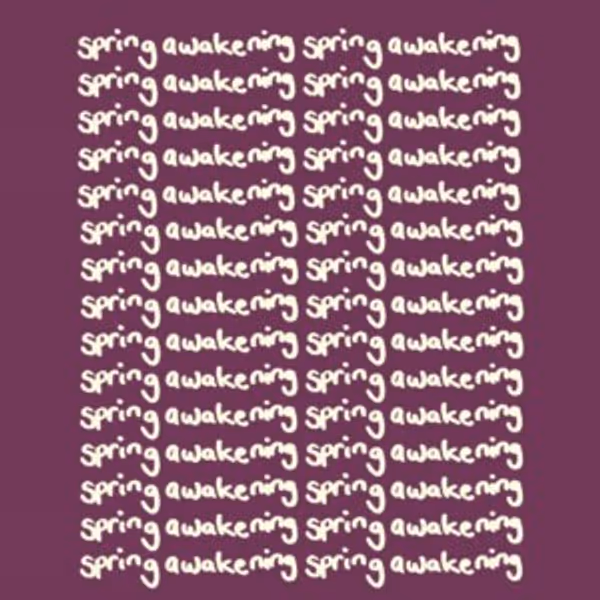 Exclusive: SPRING AWAKENING Revival Saw About ‘130 Hours’ of Auditions, It Will B Photo