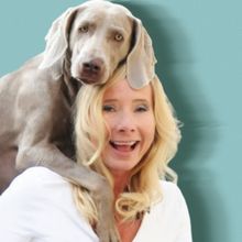 Review: FUR BABY, OR: THE LAST CHILD WEARS FUR – ADELAIDE FRINGE 2024 at The Jade