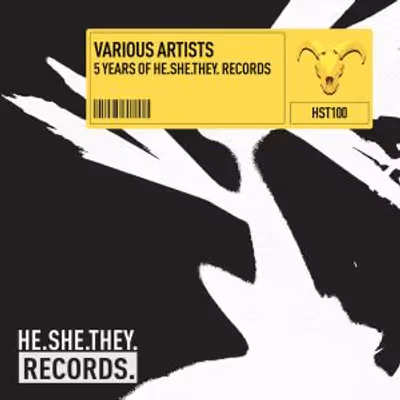 Photos: HE.SHE.THEY Releases 25-TRACK Debut Compilation 5 YEARS OF HE.SHE.THEY RECORD