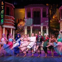 Review: A FUNNY THING HAPPENED ON THE WAY TO THE FORUM at Georgetown Palace Theatre