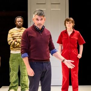 Review: THE ALLY at Mixed Blood Theater