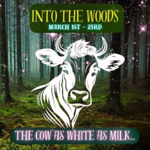 Review: INTO THE WOODS at Musical Theatre Southwest