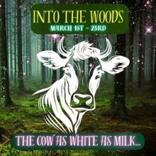 Review: INTO THE WOODS at Musical Theatre Southwest