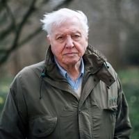Sir David Attenborough Returns to BBC One with EXTINCTION