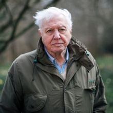 Sir David Attenborough Returns to BBC One with EXTINCTION