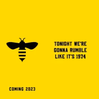 Rematch to Recreate RUMBLE IN THE JUNGLE as an Immersive Experience