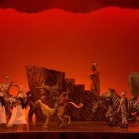 VIDEO: EVERYBODY DANCE NOW! A Look Back at 'Circle of Life' From THE LION KING