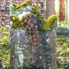 Open-Door Playhouse to Present FLESH AND BLOOD in March