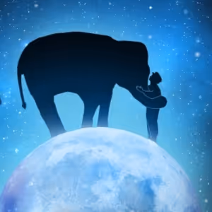 THE MAGICIAN'S ELEPHANT Is Now Available for Licensing