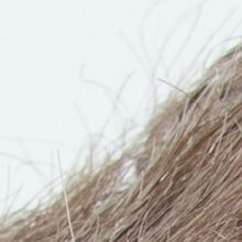 VIDEO: CONVERSATIONS WITH...MARK CURRY Launches In Aid Of Acting For Others