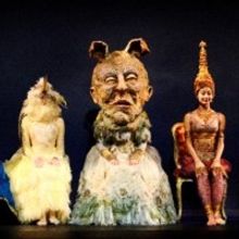 Wheeldon's CINDERELLA Opens SF Ballet's 2020 Repertory Season, Tickets On Sale Now